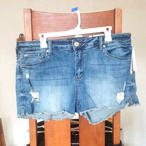 Still Blue Fringed Denim Shorts